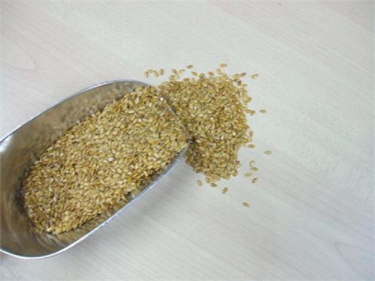 Lijnzaad Blond Biologisch