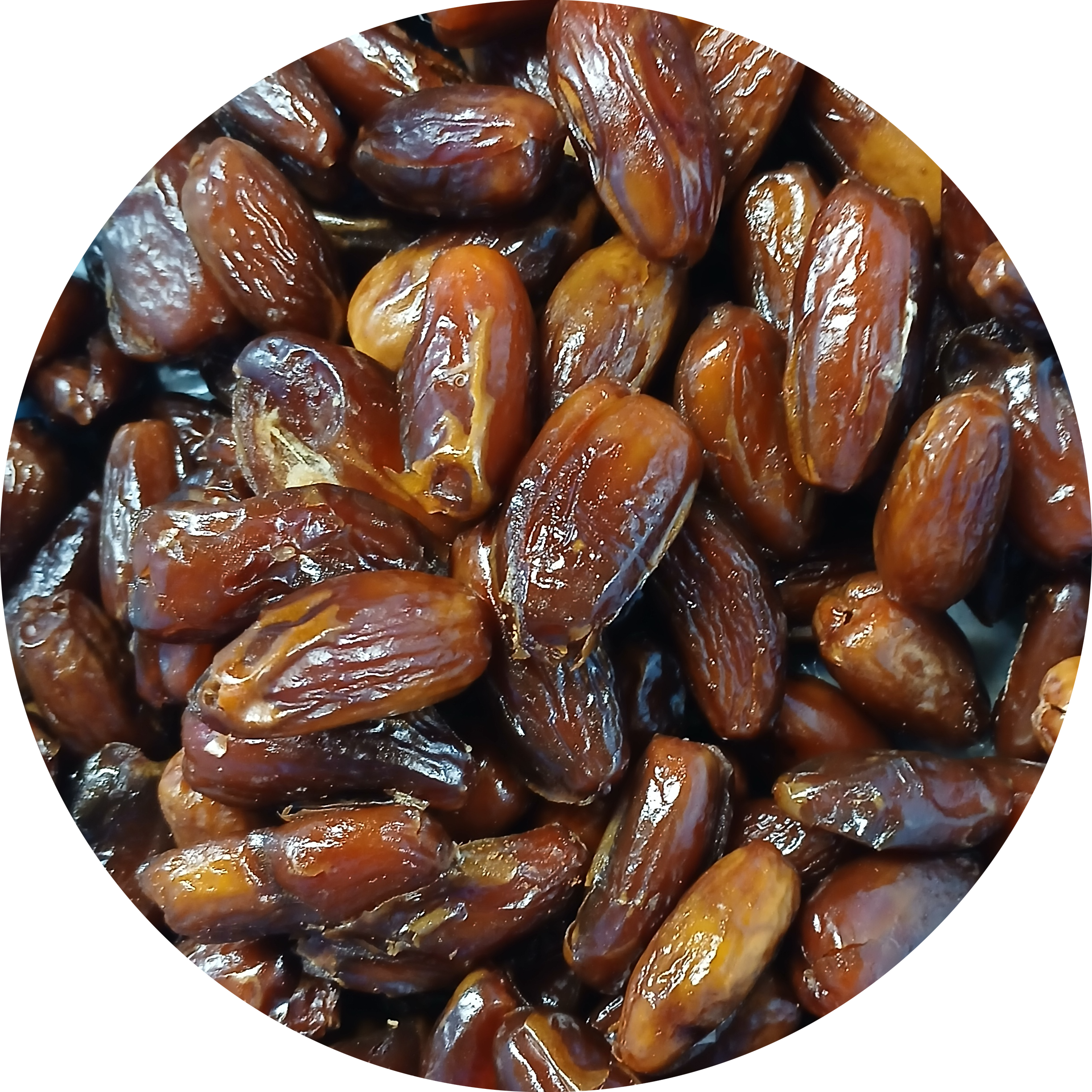 Dadels met pit biologisch 250 gram