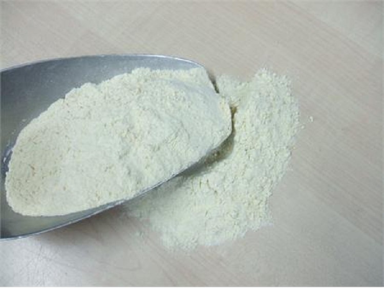 Durum tarwebloem Biologisch